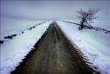 paysage 15_01_10n02